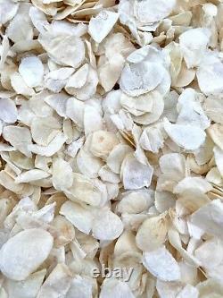 Biodegradable WEDDING CONFETTI IVORY Dried FLUTTER FALL Real Throwing Petals