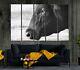 Bull Cow Printed Black And White Wall Art Western Cowboy Farmhouse Decoration