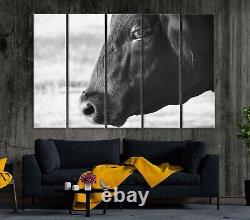 Bull cow printed Black and white wall art Western cowboy farmhouse decoration