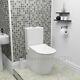 Jesy Bathroom Rimless Toilet Wc Ceramic Close Coupled Cloaked To Wall