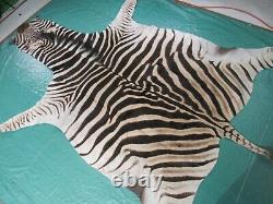 Real Zebra Skin Rug Size7.3' X 6.5' Brand New Real Burchell's Zebra Hide Rug 85
