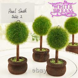 Unique Topiary Place Card Holders Wedding Favours Table Decoration Tree