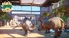 White Rhino House Interior Planet Zoo Speed Build Limpopo Ep3